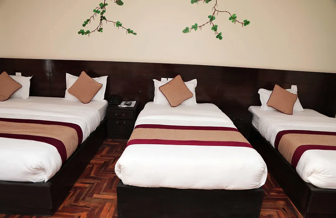 Hotel Thamel Park-1